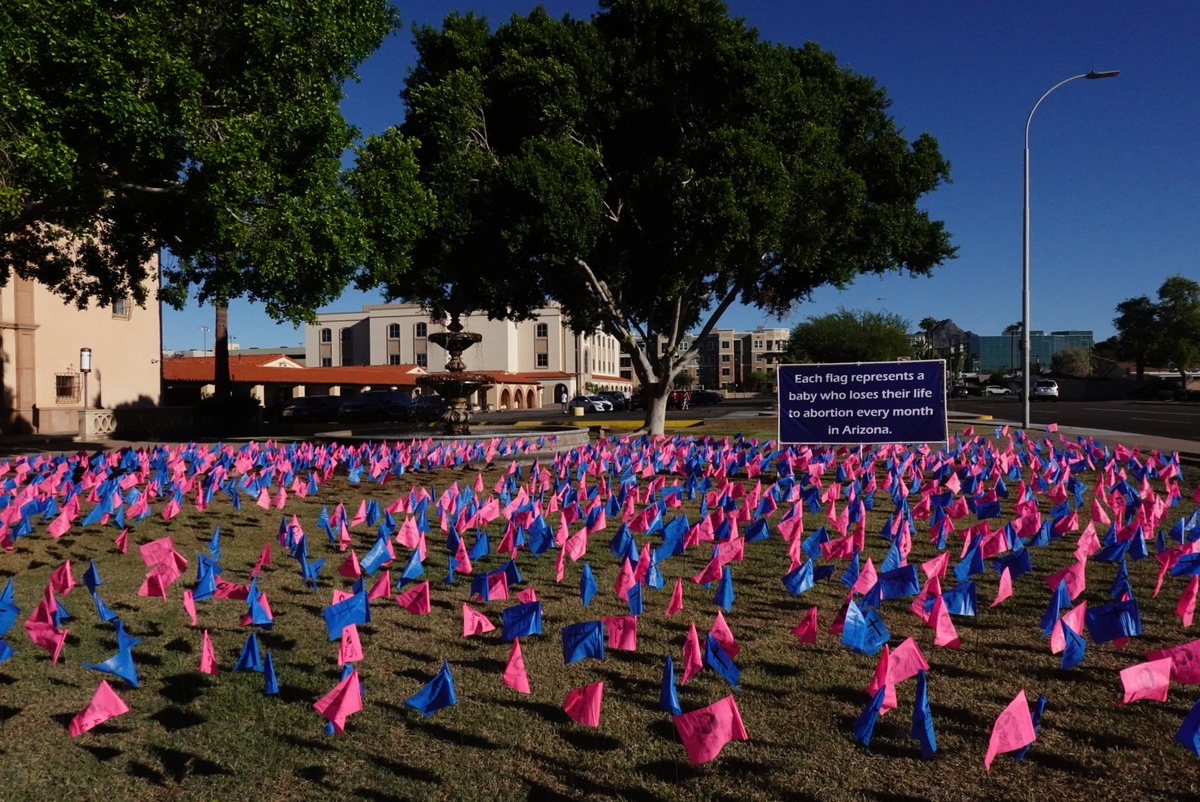Pink and blue flags fill the lawn at St. Thomas the Apostle, beside a sign that reads: Each flag represents a baby who loses their life to abortion every month in Arizona.
