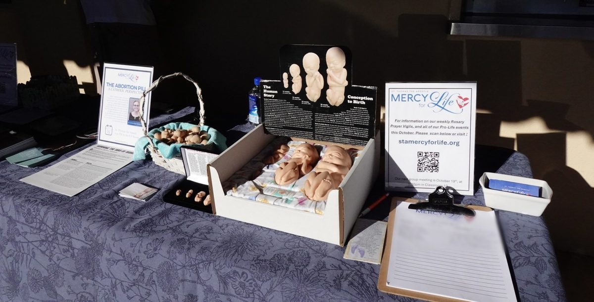 The Mercy for Life info table after Mass, with fetal development models, handouts on the abortion pill and a sign-up clipboard